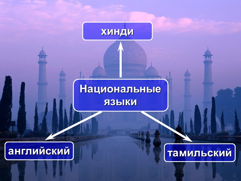 хинди Национальные языки тамильский английский